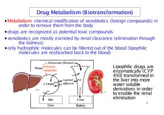 Lect_3_metabolism.pdf