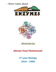Enzymes22.doc